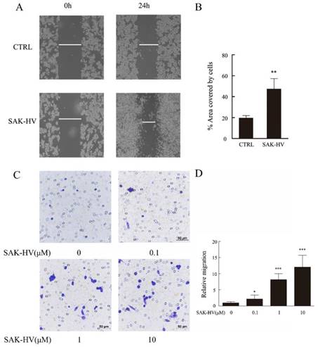 Int J Biol Sci Image