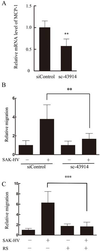 Int J Biol Sci Image