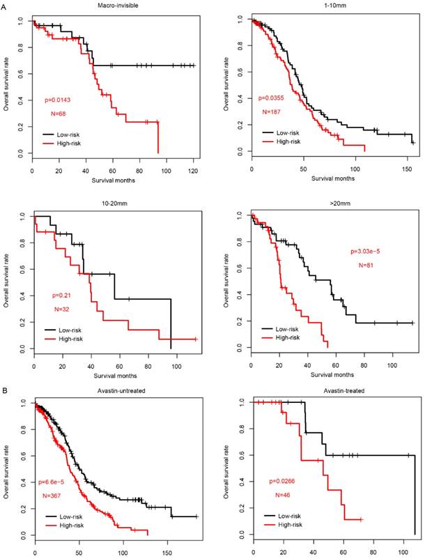 Int J Biol Sci Image