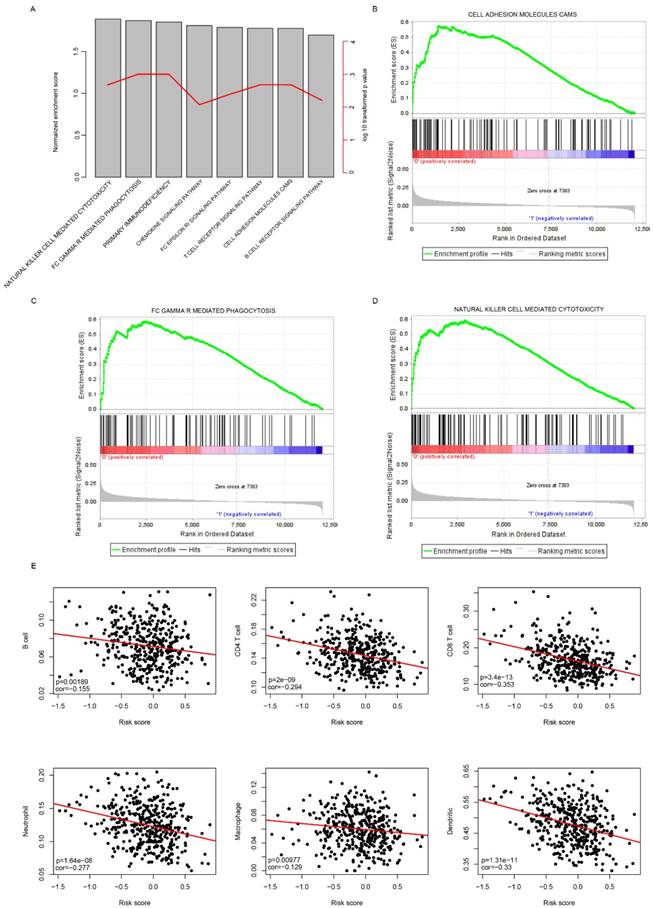 Int J Biol Sci Image
