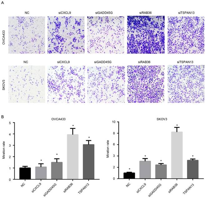 Int J Biol Sci Image