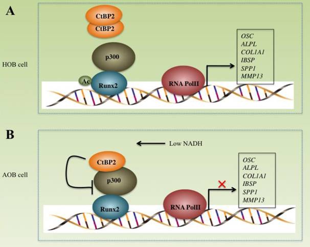 Int J Biol Sci Image