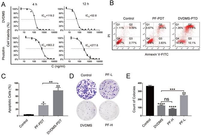 Int J Biol Sci Image