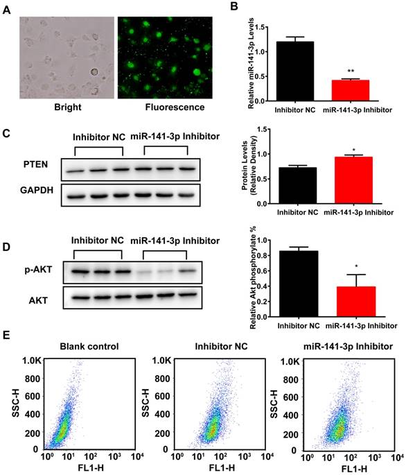 Int J Biol Sci Image