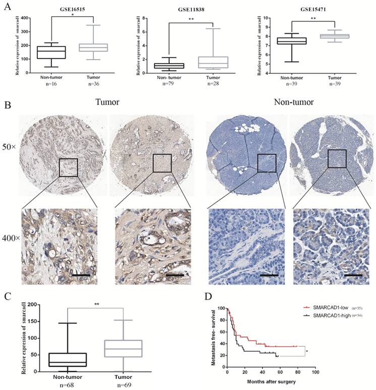 Int J Biol Sci Image