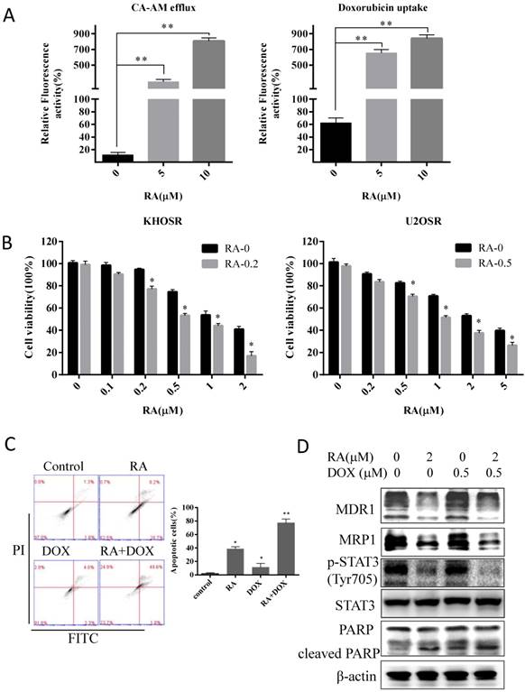 Int J Biol Sci Image