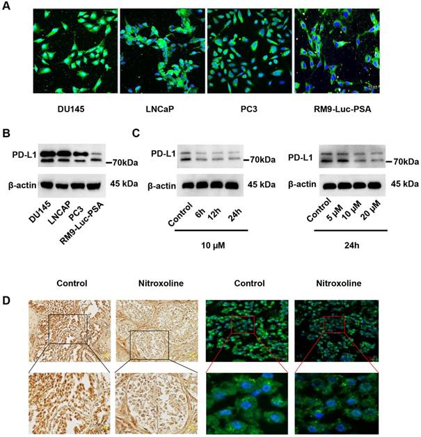 Int J Biol Sci Image