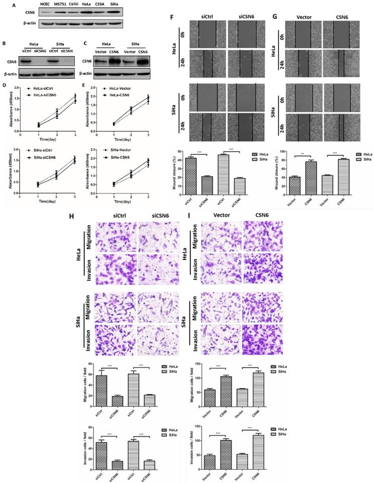 Int J Biol Sci Image