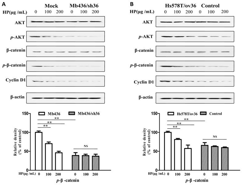 Int J Biol Sci Image