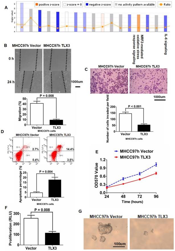 Int J Biol Sci Image
