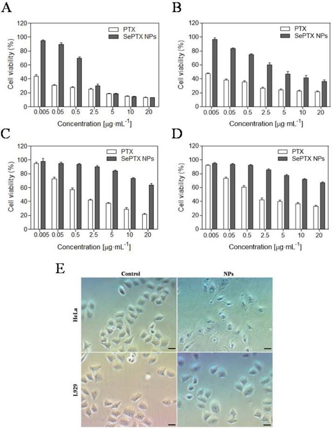 Int J Biol Sci Image