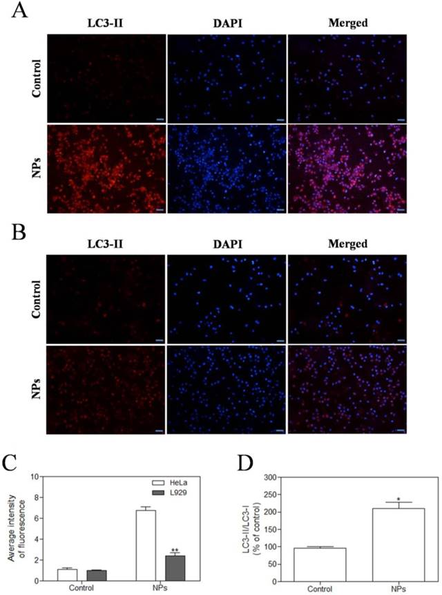 Int J Biol Sci Image