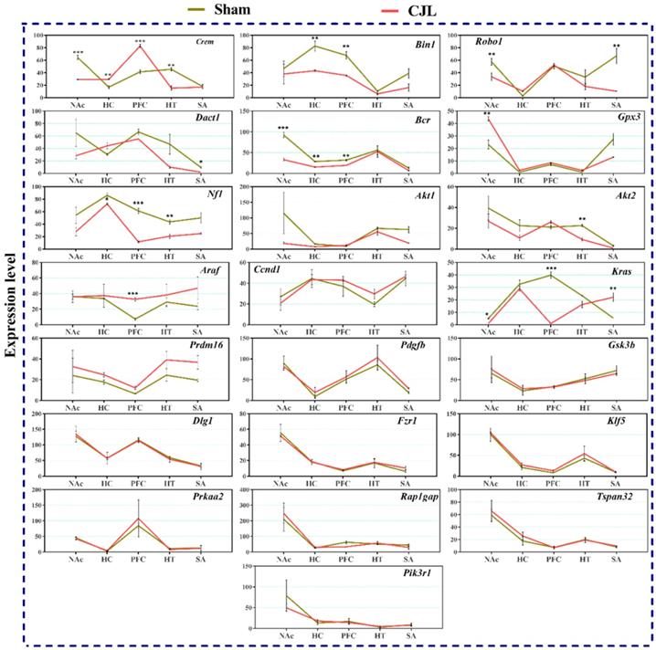 Int J Biol Sci Image