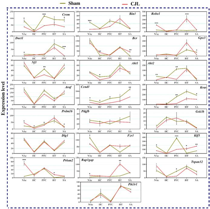 Int J Biol Sci Image