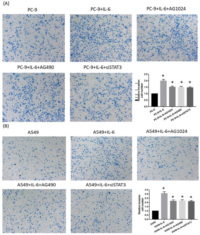 Int J Biol Sci Image