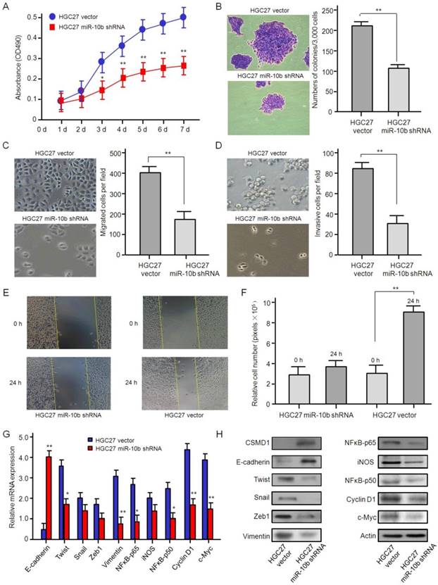Int J Biol Sci Image