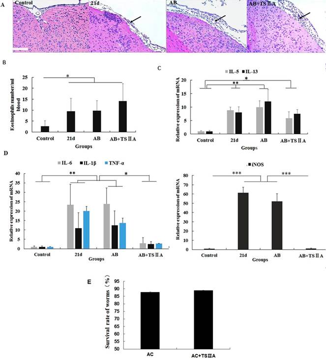 Int J Biol Sci Image