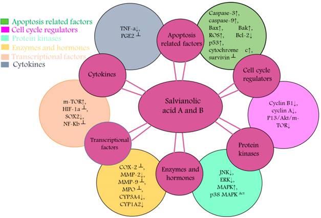 Int J Biol Sci Image