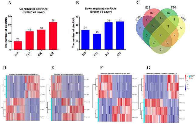 Int J Biol Sci Image