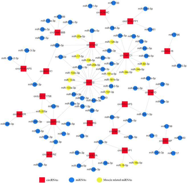 Int J Biol Sci Image