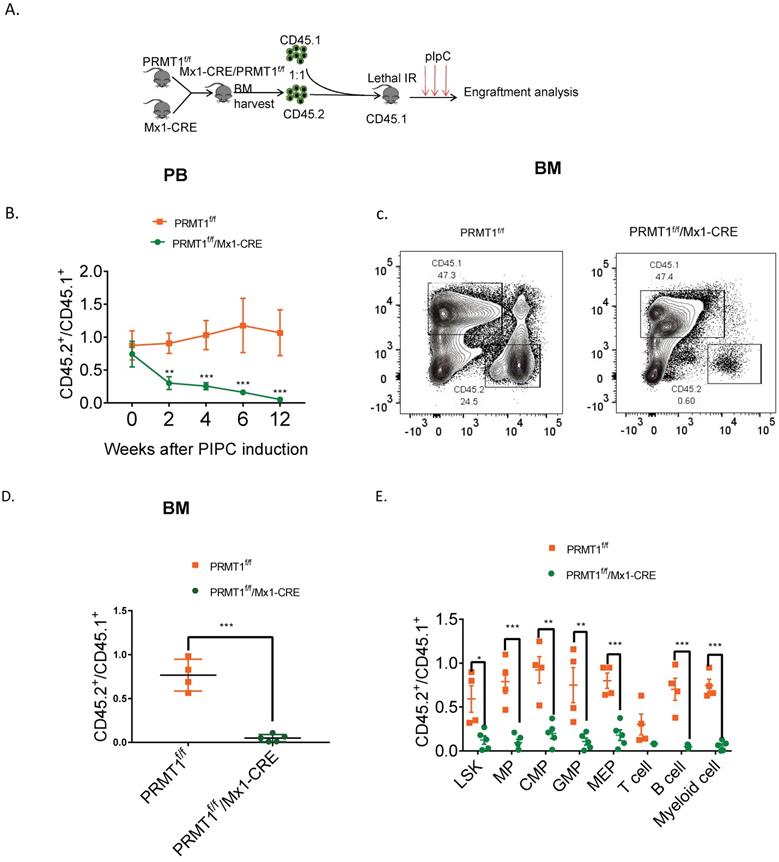 Int J Biol Sci Image