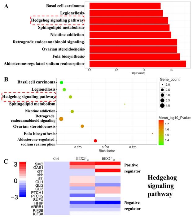 Int J Biol Sci Image