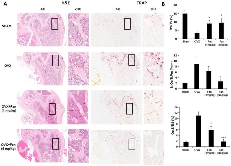 Int J Biol Sci Image
