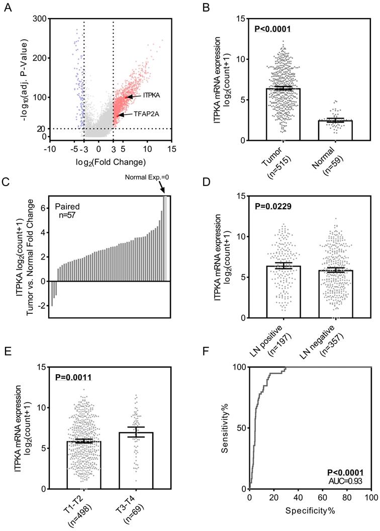 Int J Biol Sci Image