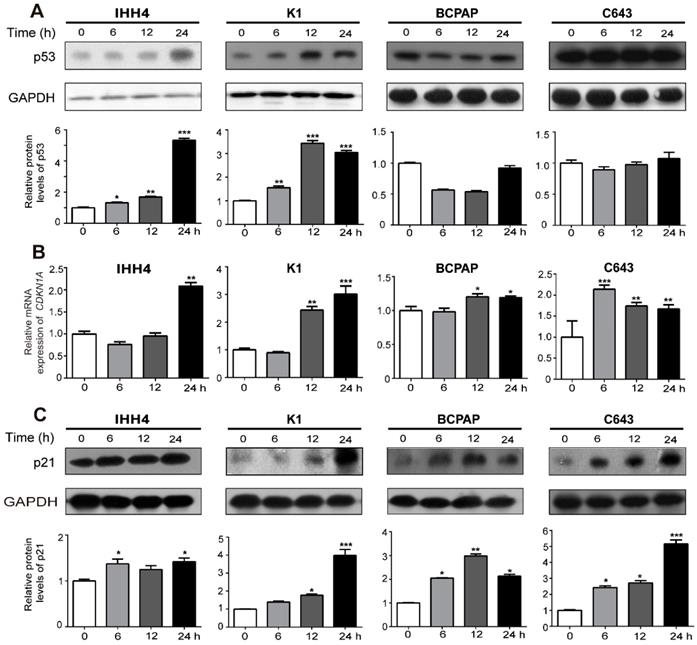 Int J Biol Sci Image