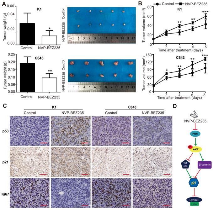 Int J Biol Sci Image