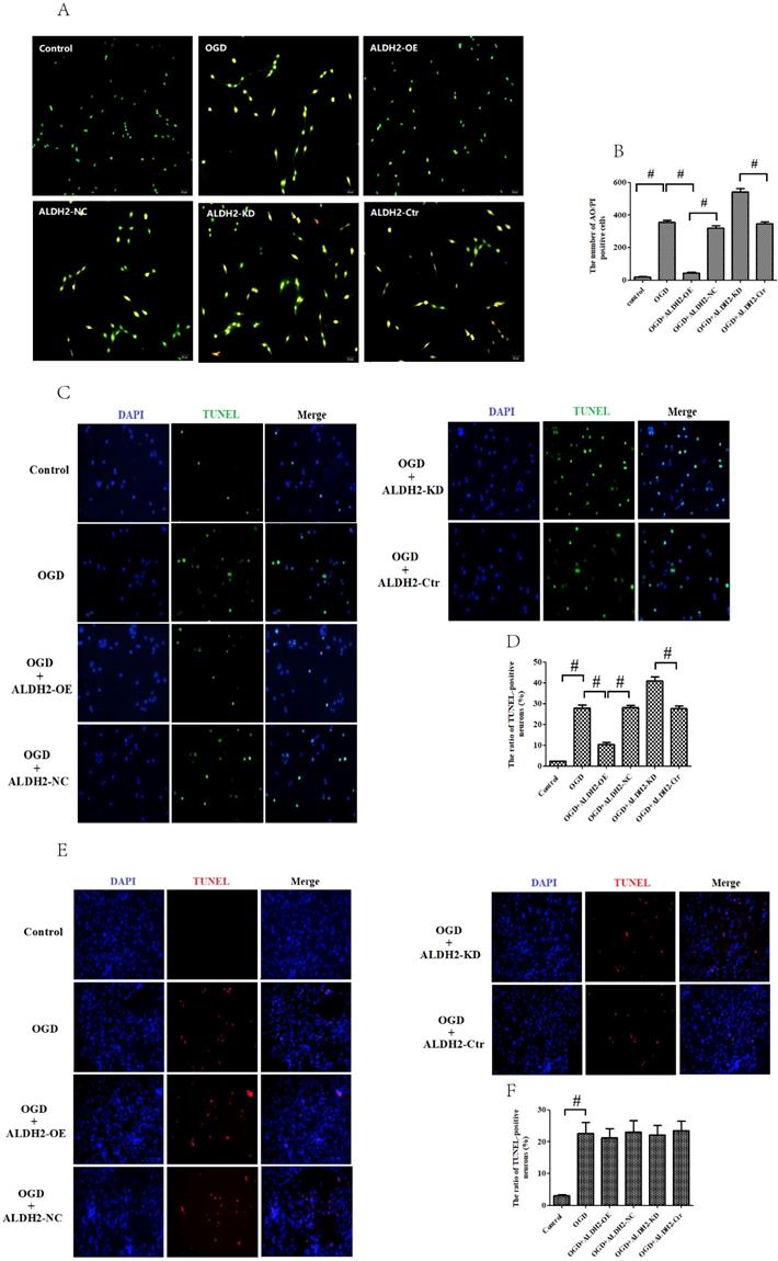 Int J Biol Sci Image