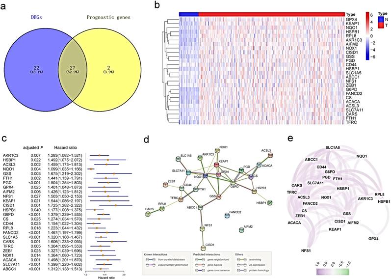 Int J Biol Sci Image