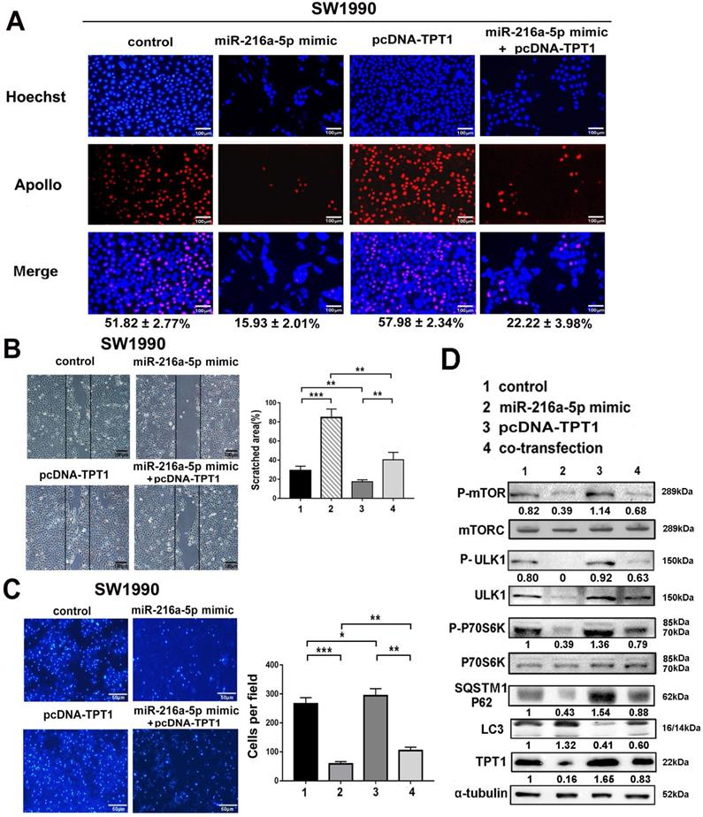 Int J Biol Sci Image