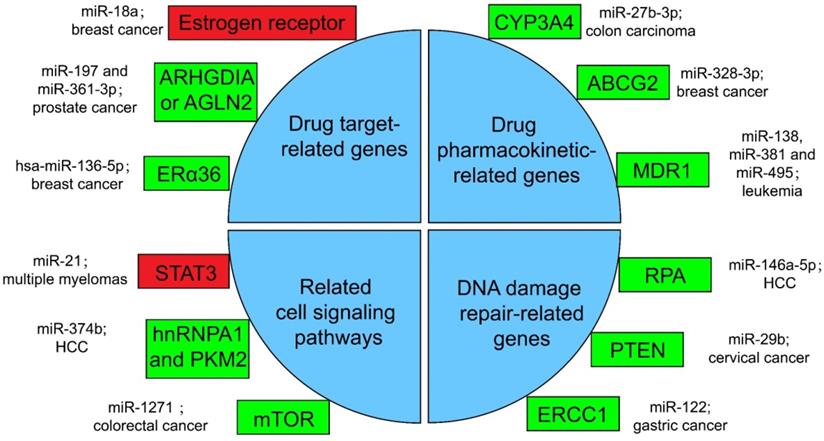 Int J Biol Sci Image
