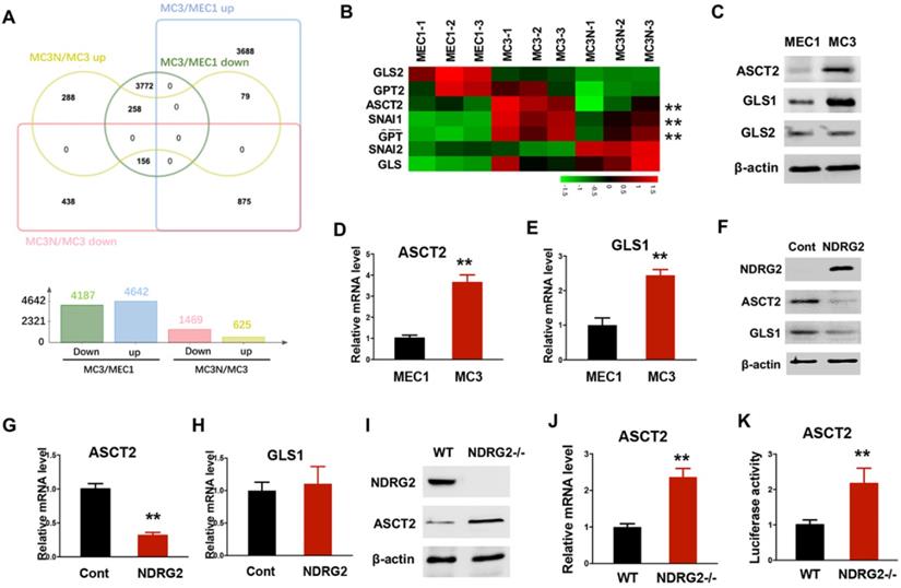 Int J Biol Sci Image