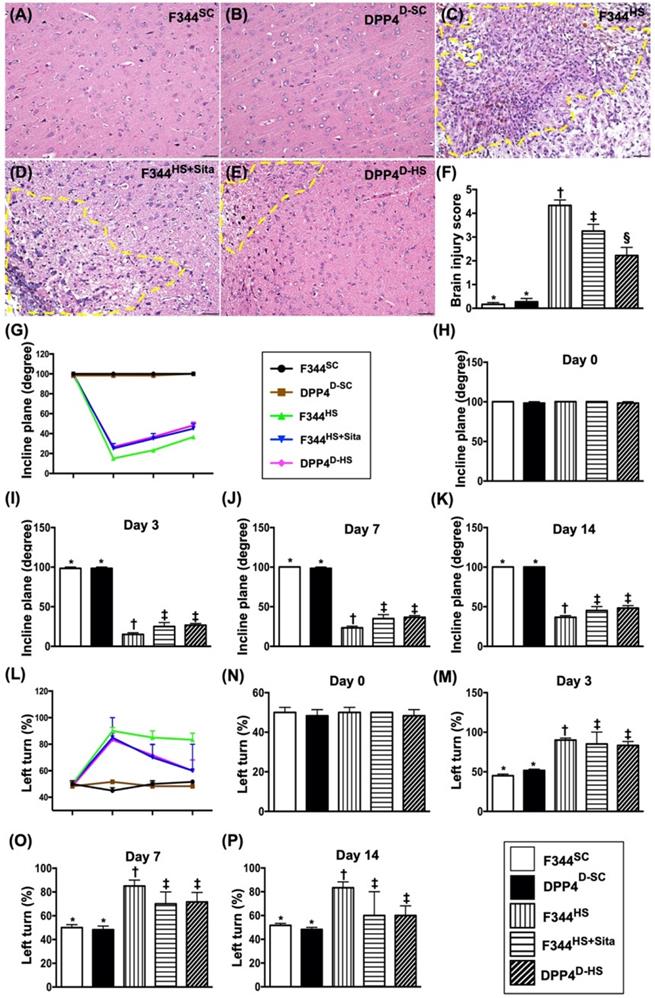 Int J Biol Sci Image