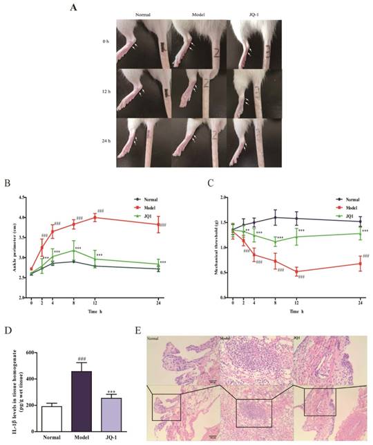 Int J Biol Sci Image