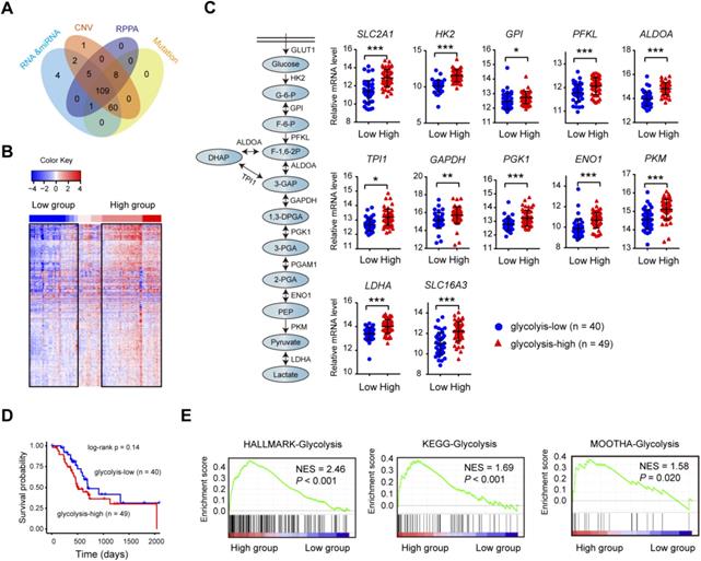 Deciphering The Genomic And Lncrna Landscapes Of Aerobic Glycolysis Identifies Potential 8337