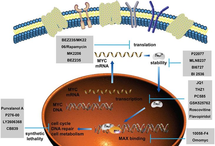 Int J Biol Sci Image