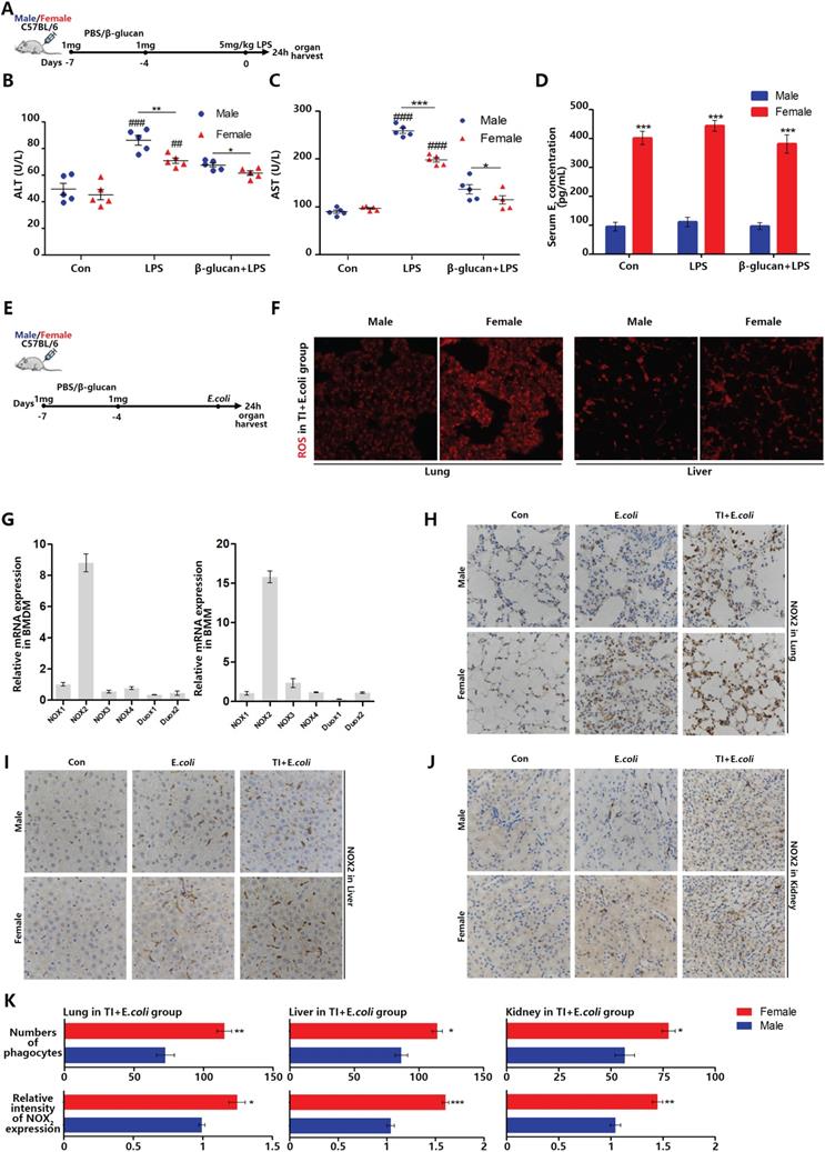 Int J Biol Sci Image