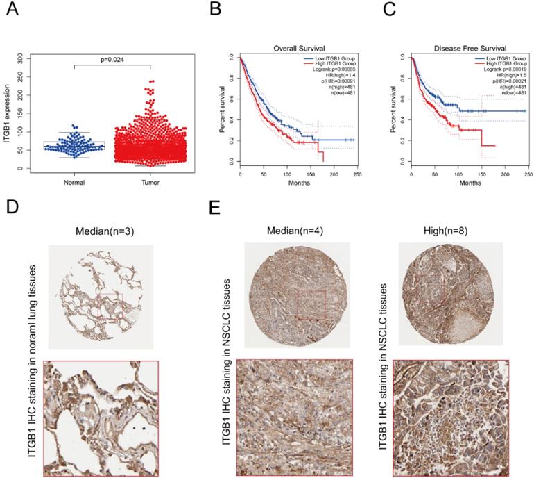 Int J Biol Sci Image