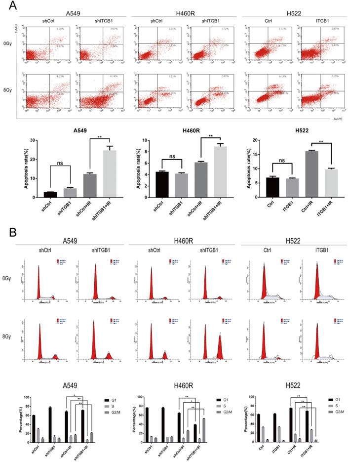 Int J Biol Sci Image