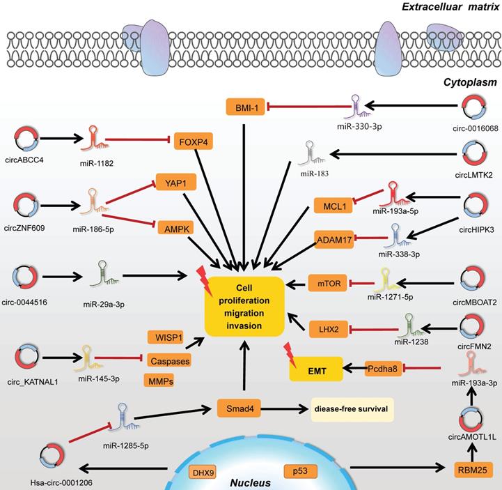 Int J Biol Sci Image