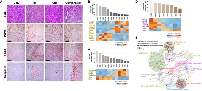 Int J Biol Sci Image