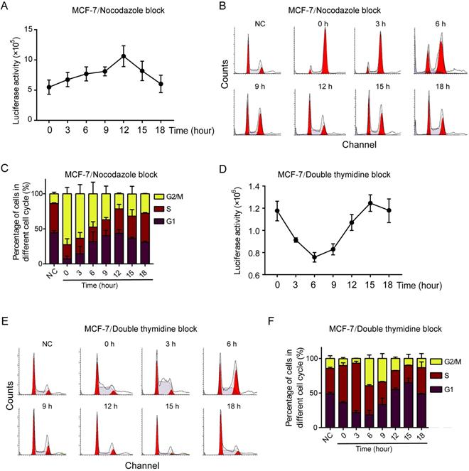 Int J Biol Sci Image