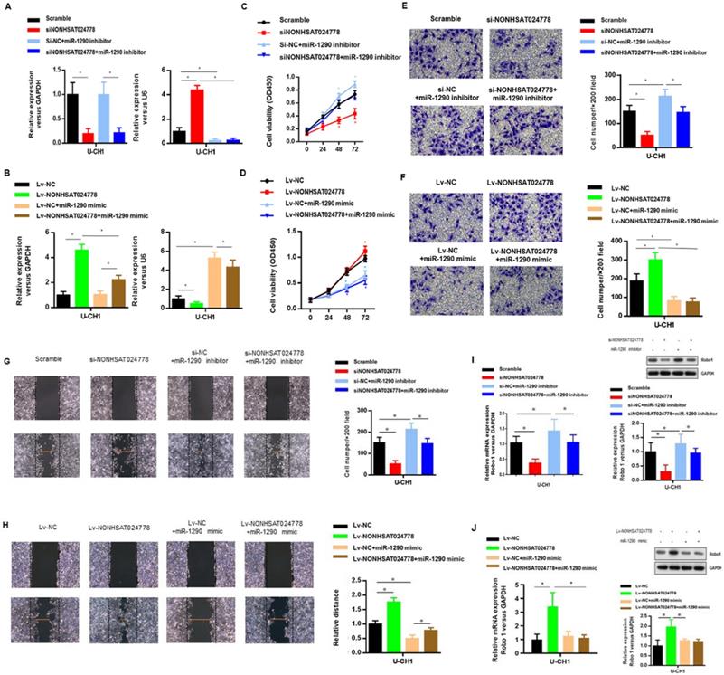 Int J Biol Sci Image