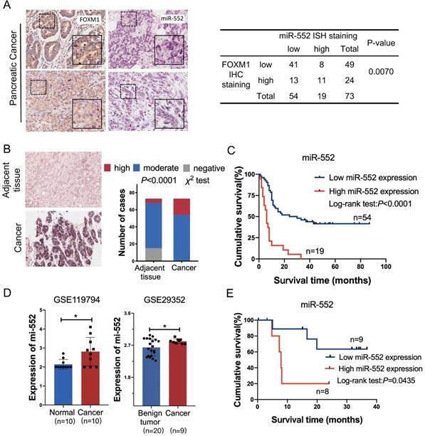 Int J Biol Sci Image