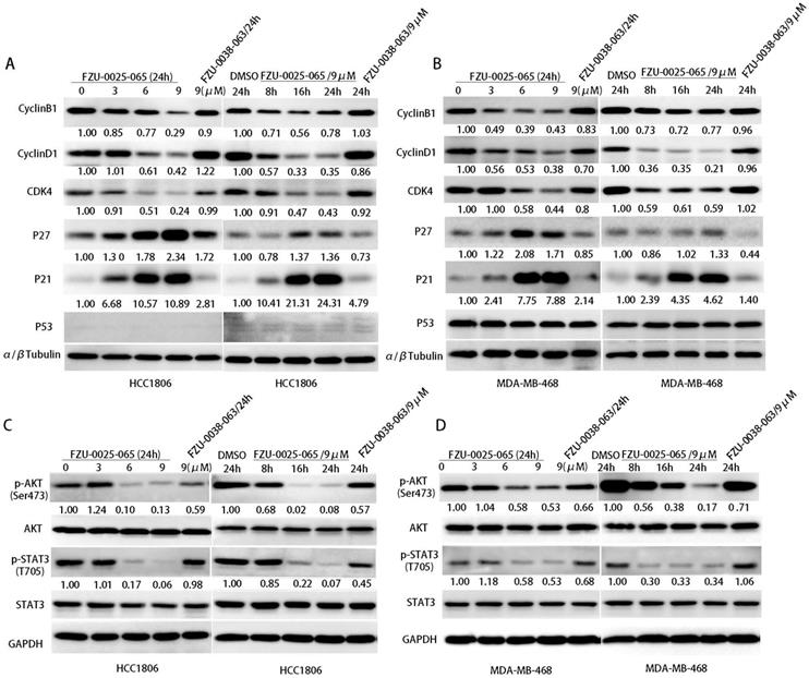 Int J Biol Sci Image