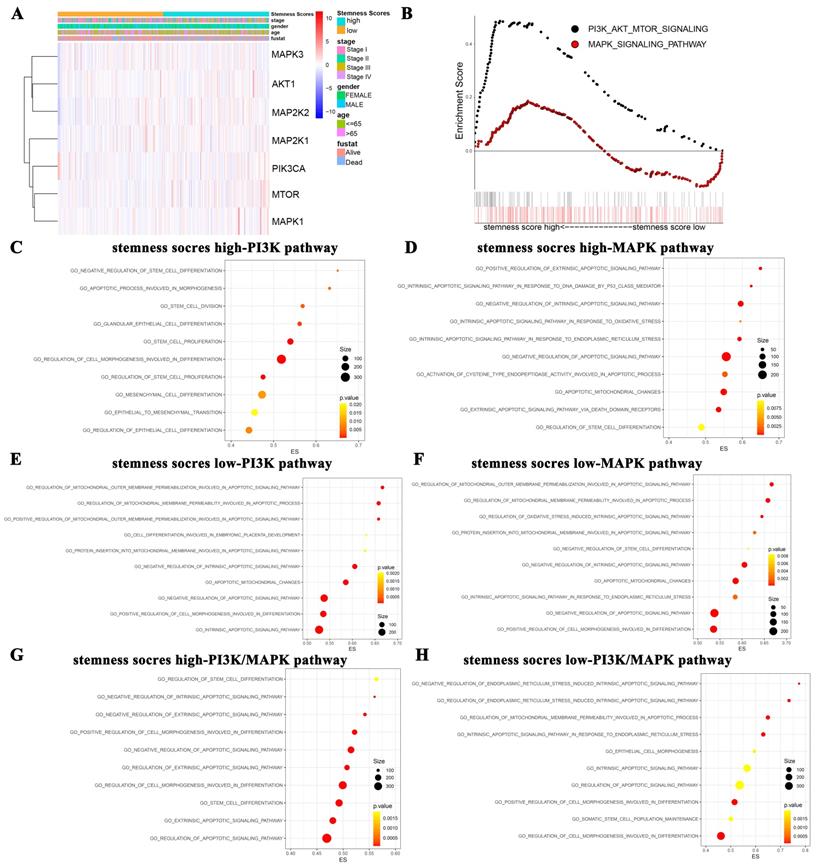 Int J Biol Sci Image