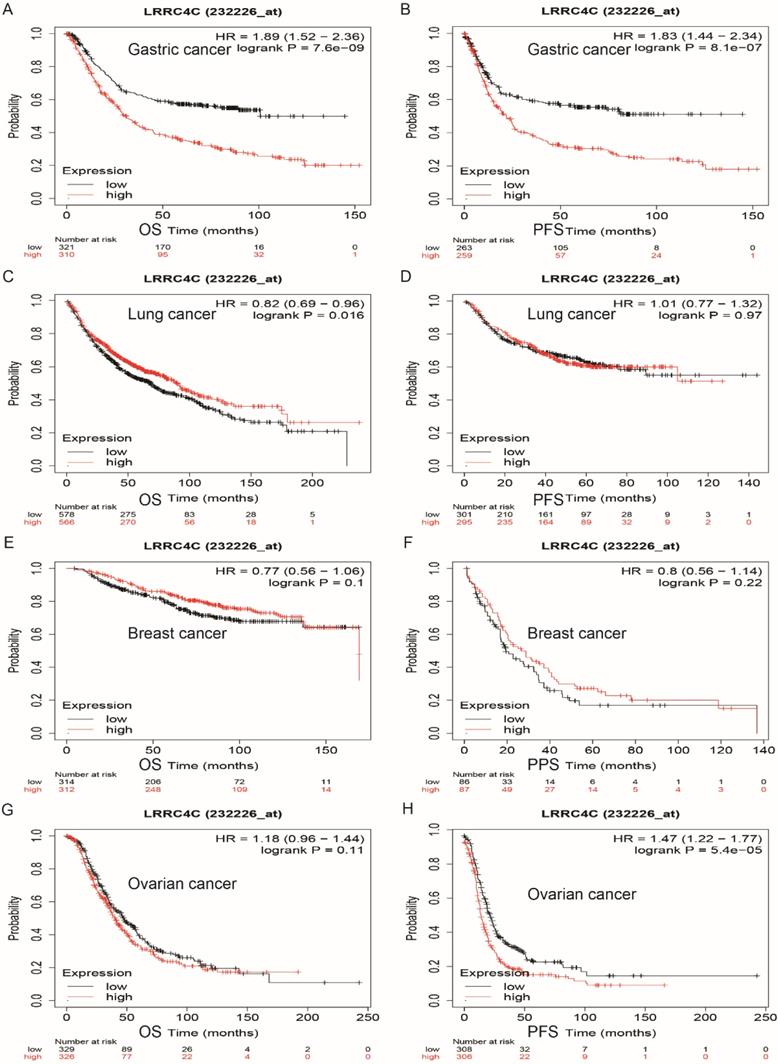 Int J Biol Sci Image